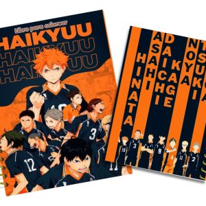 Haikyuu