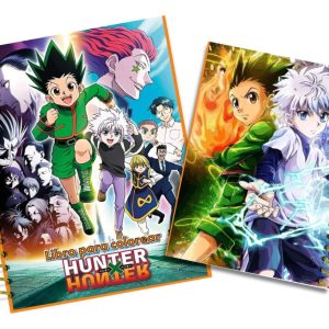 Hunter X Hunter