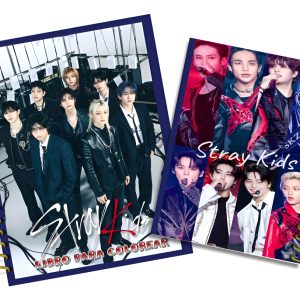 Stray Kids Para Colorear
