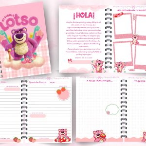 Diario de vida LOTSO